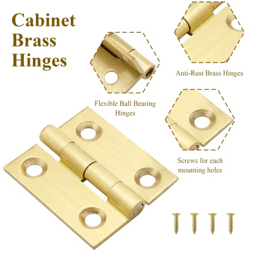 Brass Hinges E41326