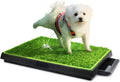 25''x20'' Artificial Turf Dog Toilet with Removable Waste Tray D35807