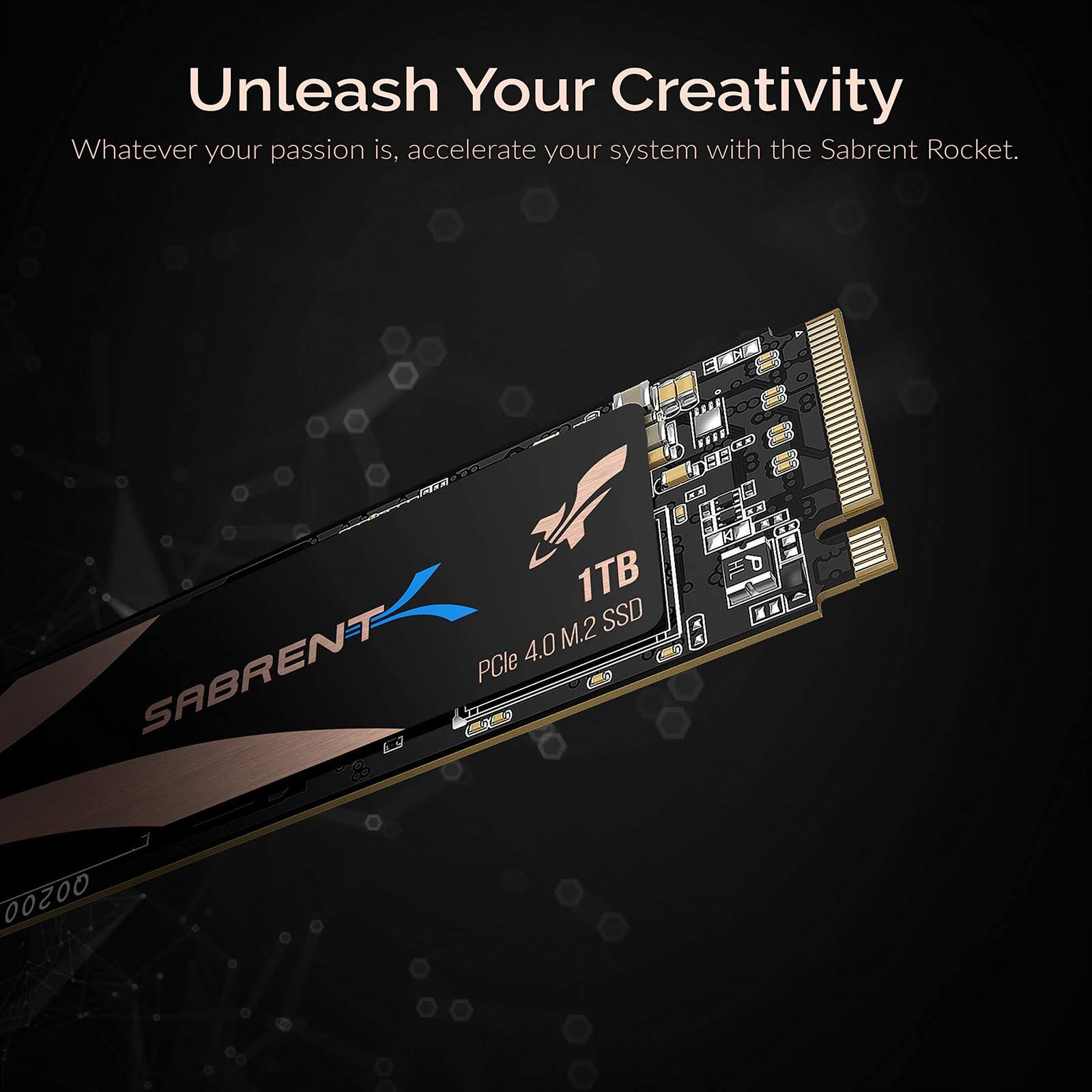 1TB NVMe 4.0 PCIe M.2 Internal Solid State Drive R293