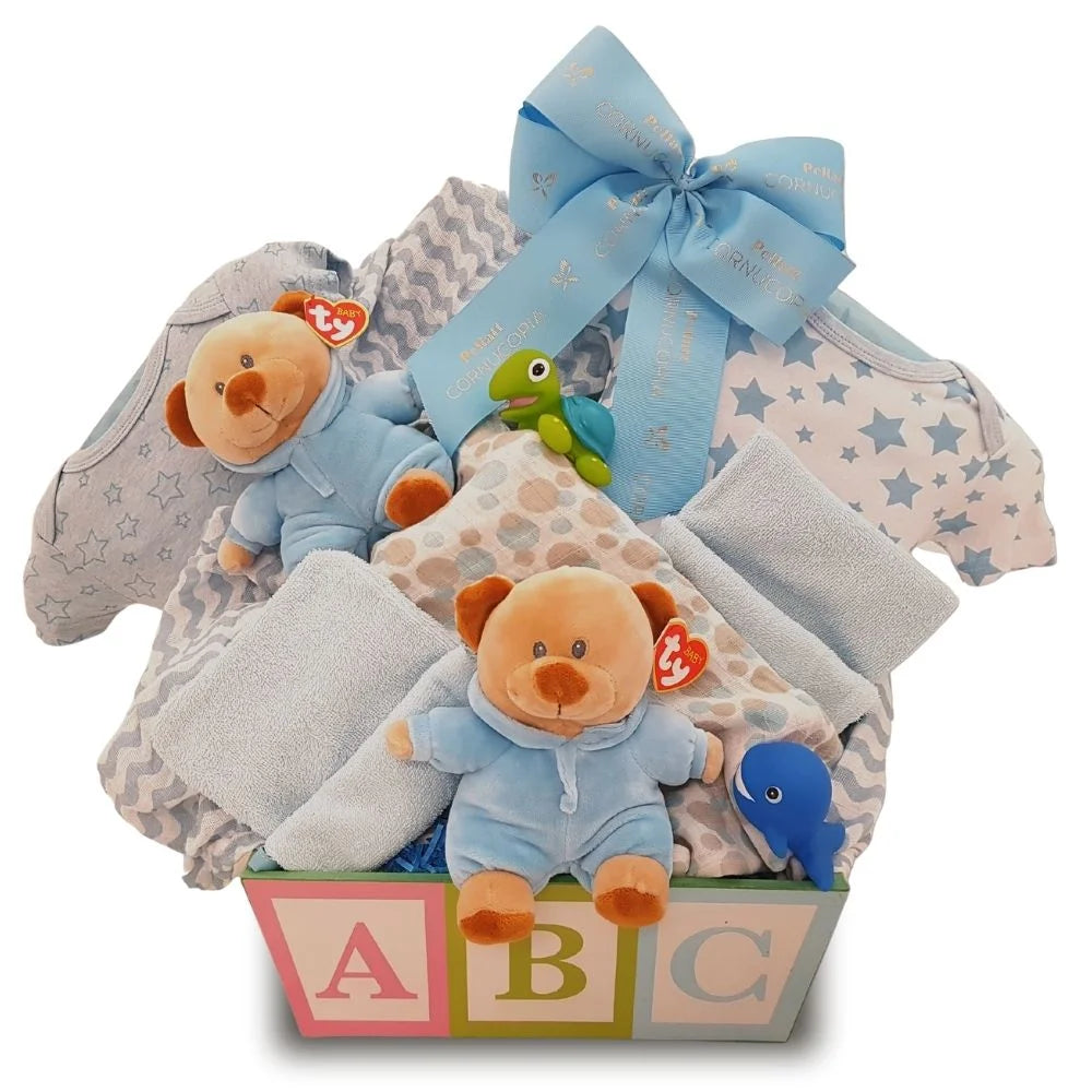 Twin Boys Gift Basket W296