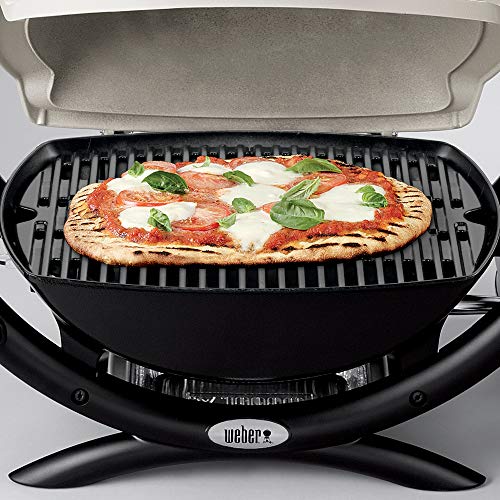 Titanium Liquid Propane Grill F593830