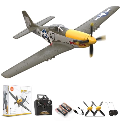 Remote Control Aircraft Plane P485