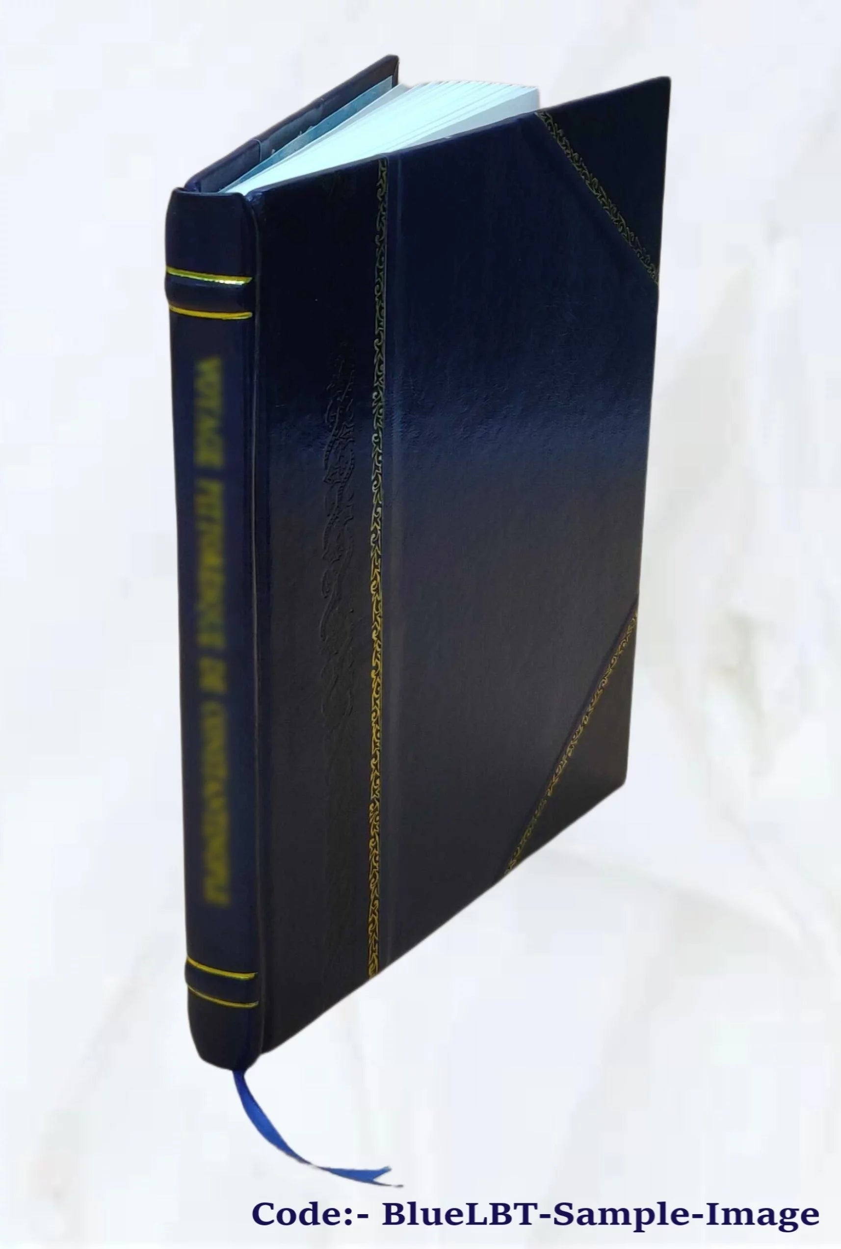 Leather Bound Book N8973