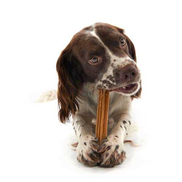 Dental Dog Treats E18098
