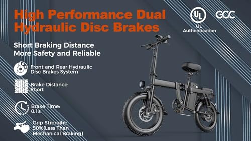 750W Electric Bike with 48V20AH Battery and 16"×3" Fat Tire K5631