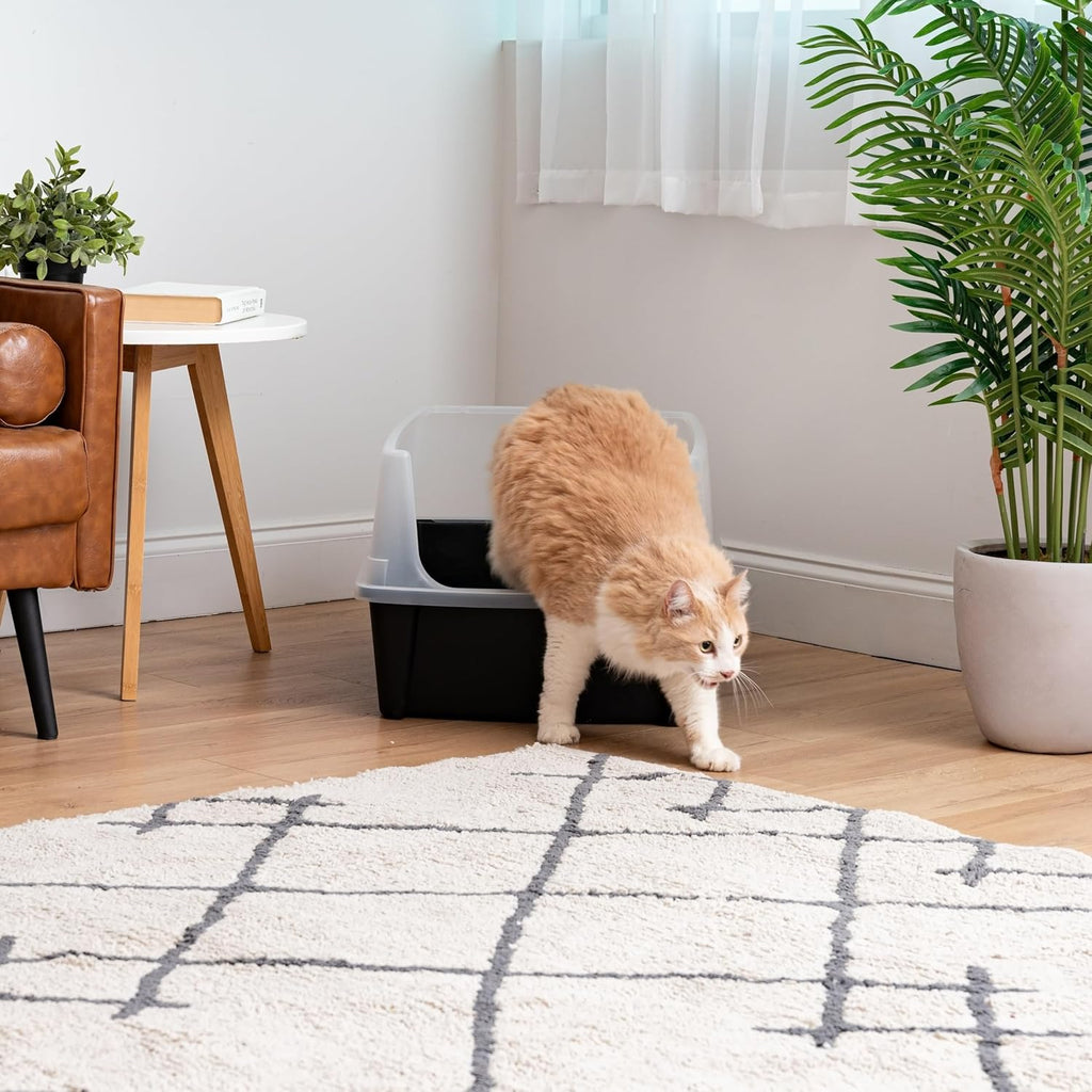 Black Open Top High Sided Cat Litter Box B71151