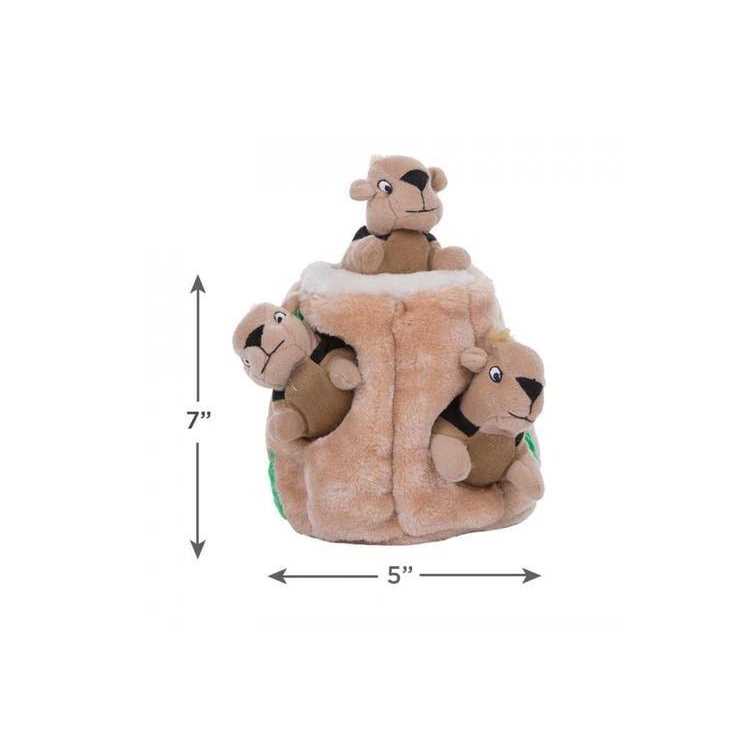 Hide A Squirrel Dog Toy N8249