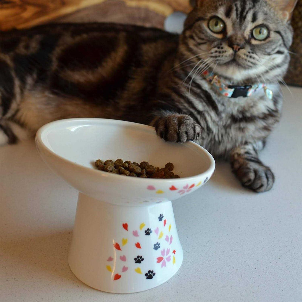 Extra Wide Raised Cat Food Bowl U331