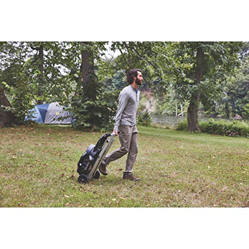 Portable Stand-Up Propane Grill with Push-Button Starter V63058