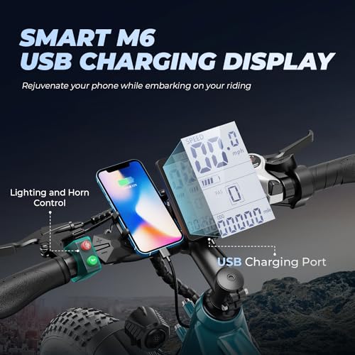 26'' x 4.0'' Fat Tire Electric Mountain Bike with 480Wh Battery 7 Speed W25254
