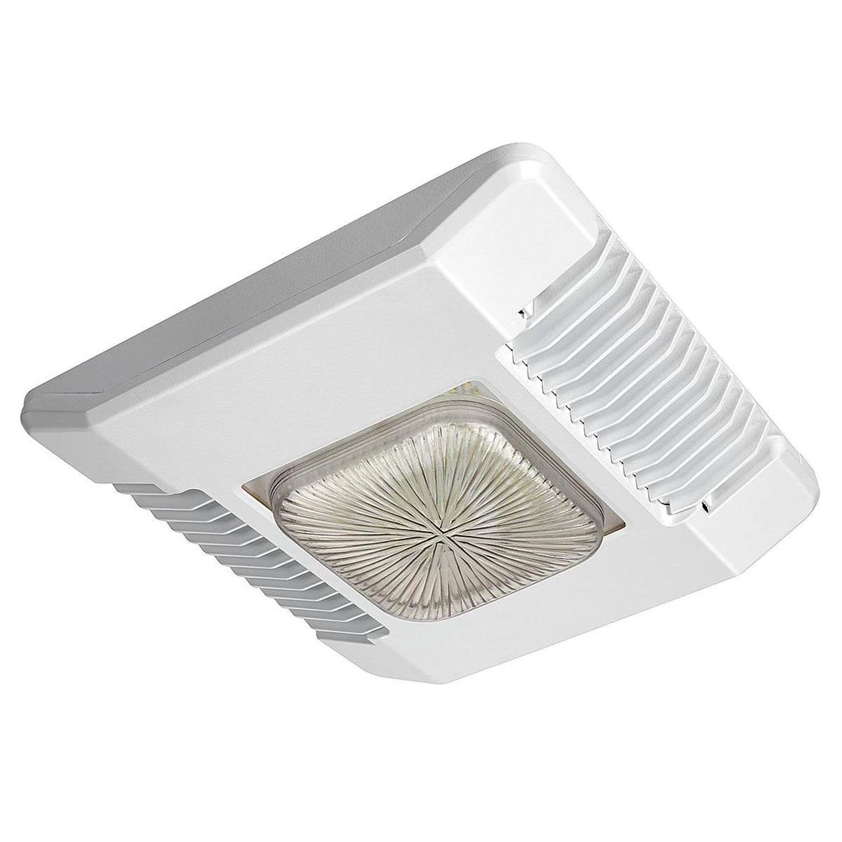 LED Canopy Light E4520