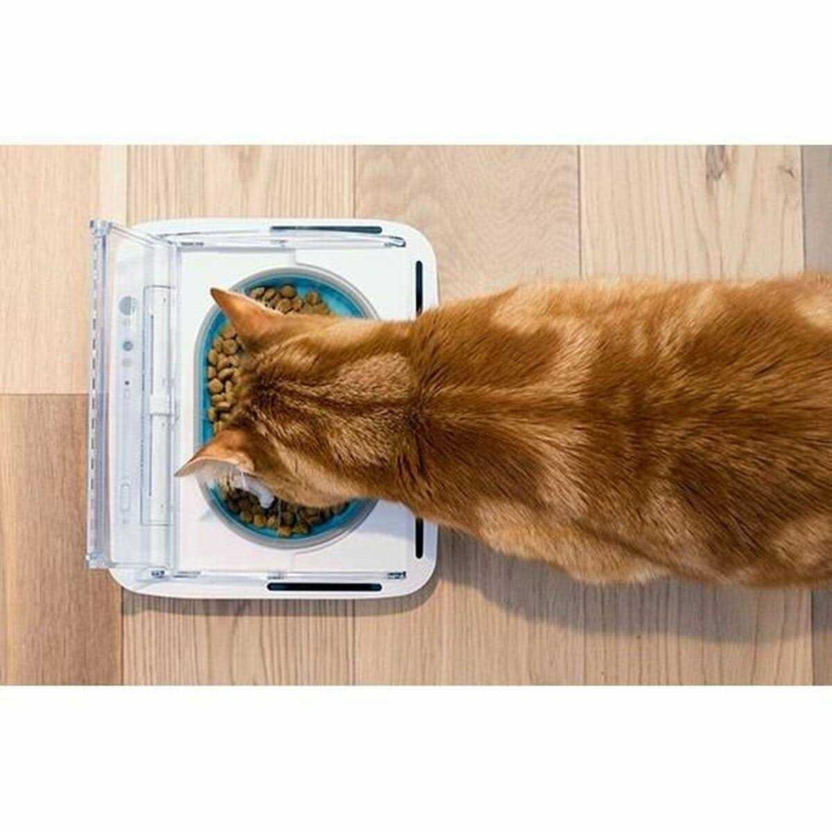 Surefeed Sealed Pet Bowl H588