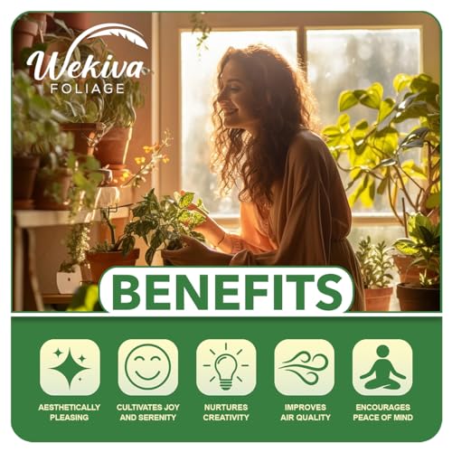 Live Starter Plant in a 2 Inch Pot - Edible Fruit Bearing Tree B3400