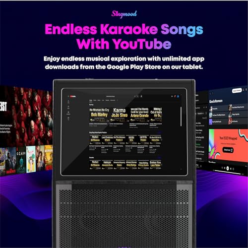 Portable Bluetooth Karaoke Machine with 2 Wireless Microphones G372