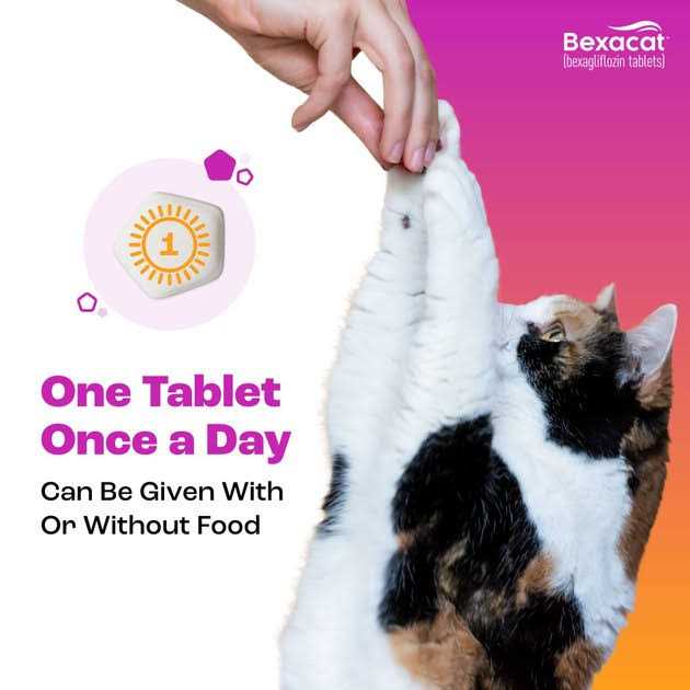 15 mg Cat S16999