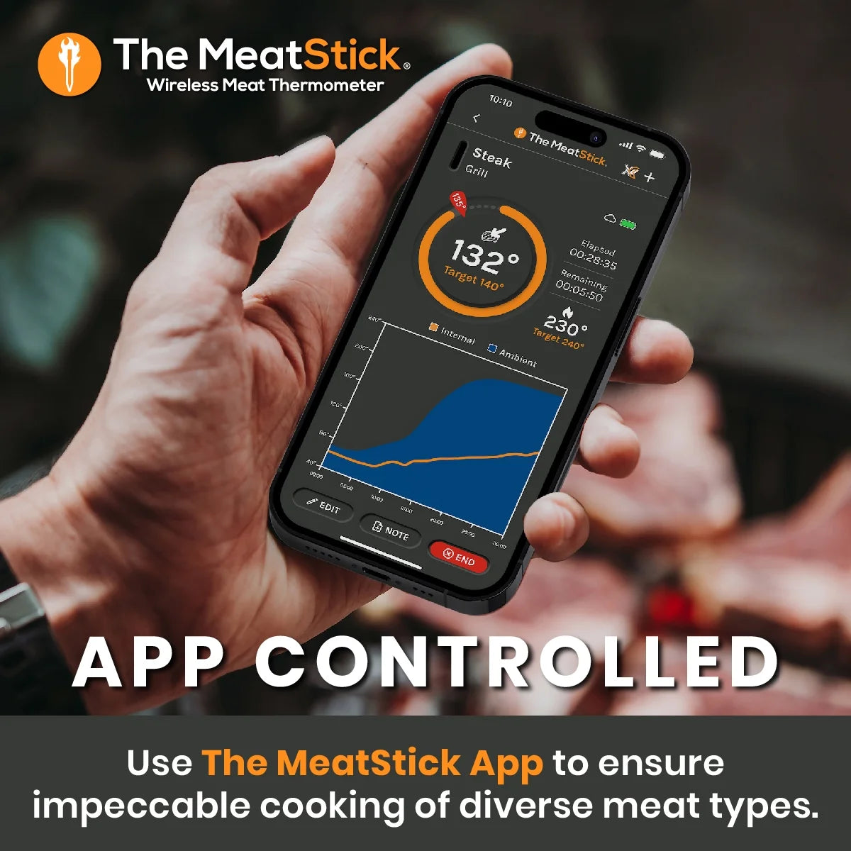 Wireless Meat Thermometer with Bluetooth D8664