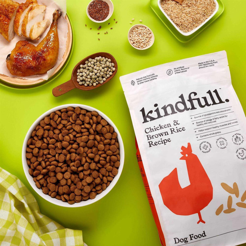 Chicken and Brown Rice Recipe Dry Dog Food B751