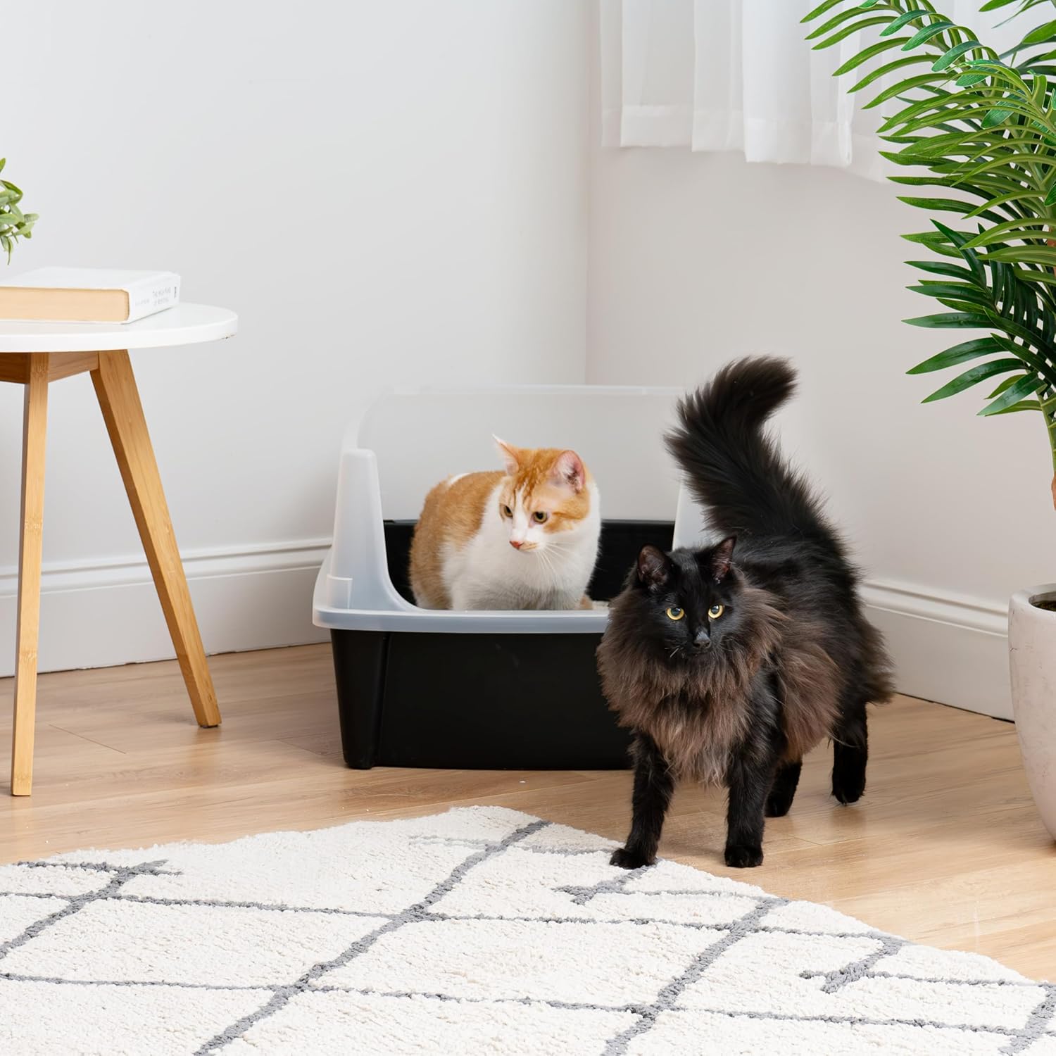 Black Open Top High Sided Cat Litter Box B71151