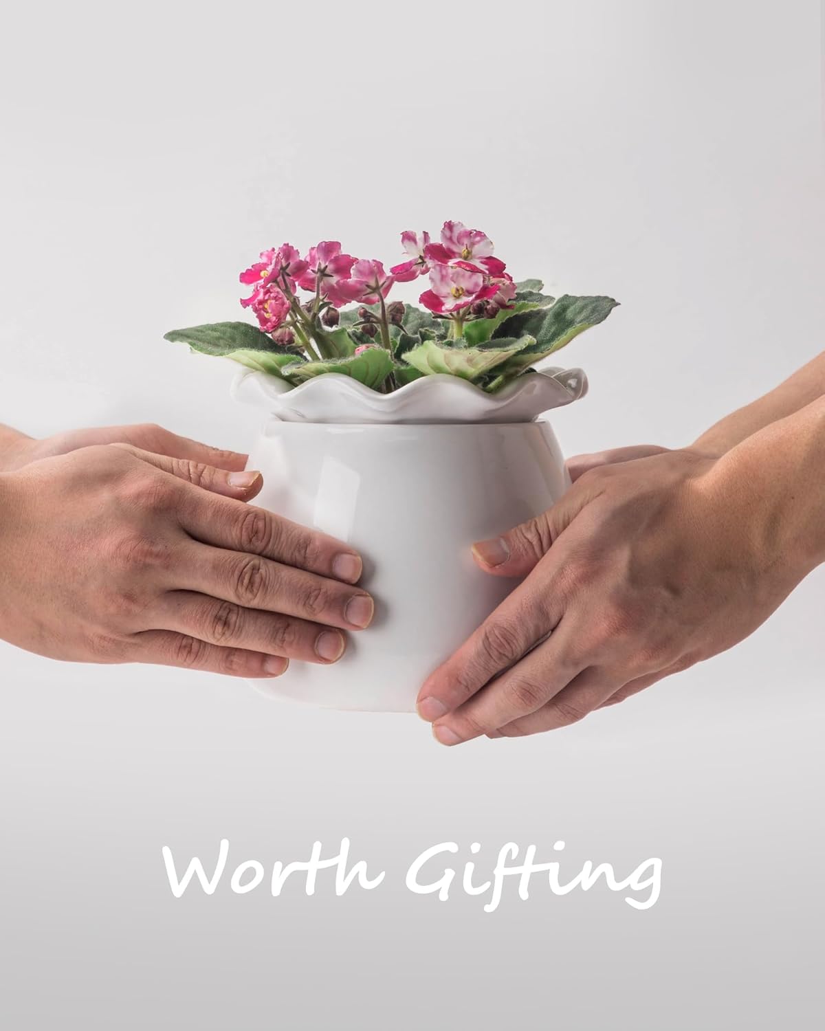 6 Inch Ceramic Self-Watering Plant Pot D29827