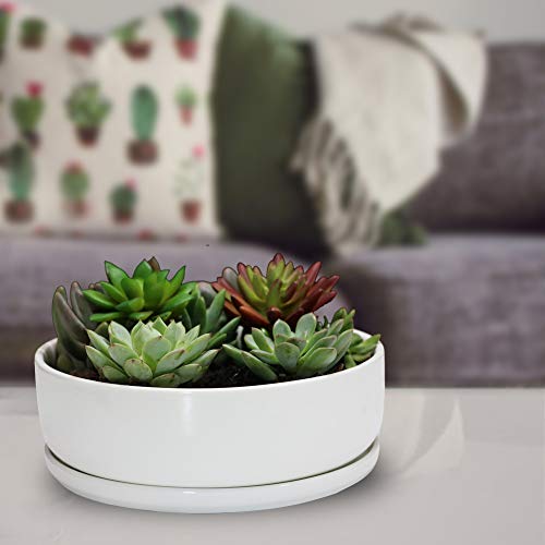 8 inch White Round Ceramic Planter with Removable Saucer Y3815