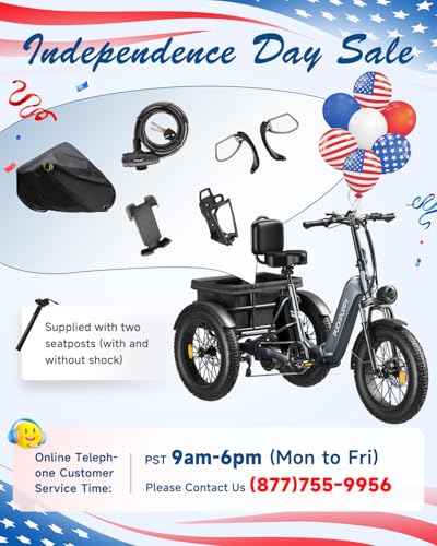 Electric Trike with 750W Motor, 48V 18AH Battery, 20" Fat Tire, Large Basket N68198
