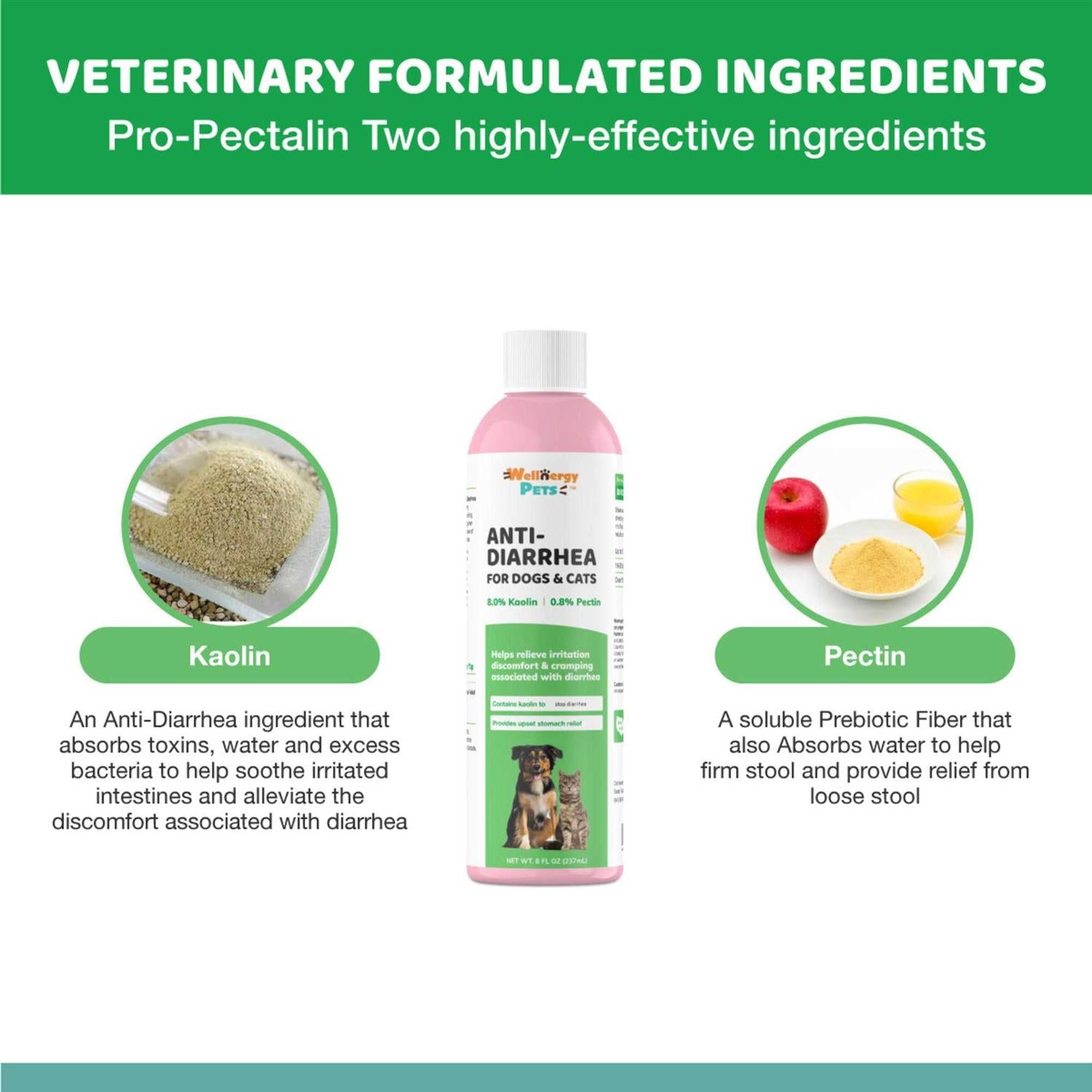Anti-Diarrhea for Dogs & Cats T79370