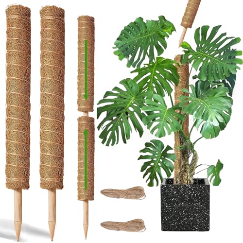 Moss Pole -2 Pack 17 Inch Plant Support Stakes G89557