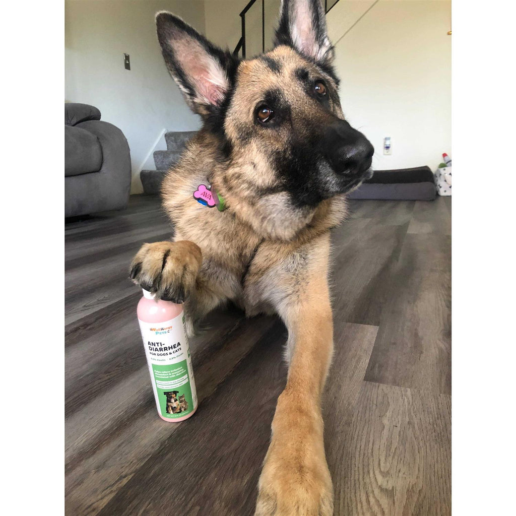 Anti-Diarrhea for Dogs & Cats T79370