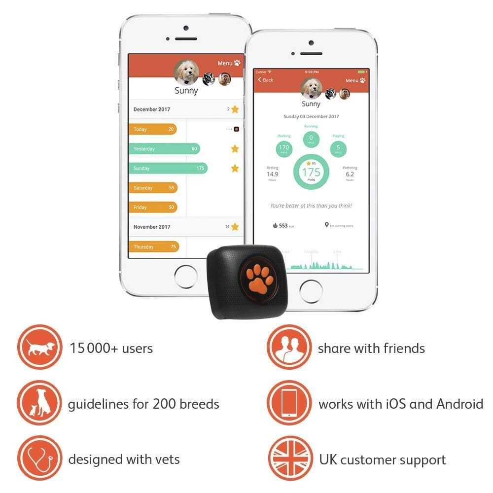 Dog Activity and Fitness Monitor K901
