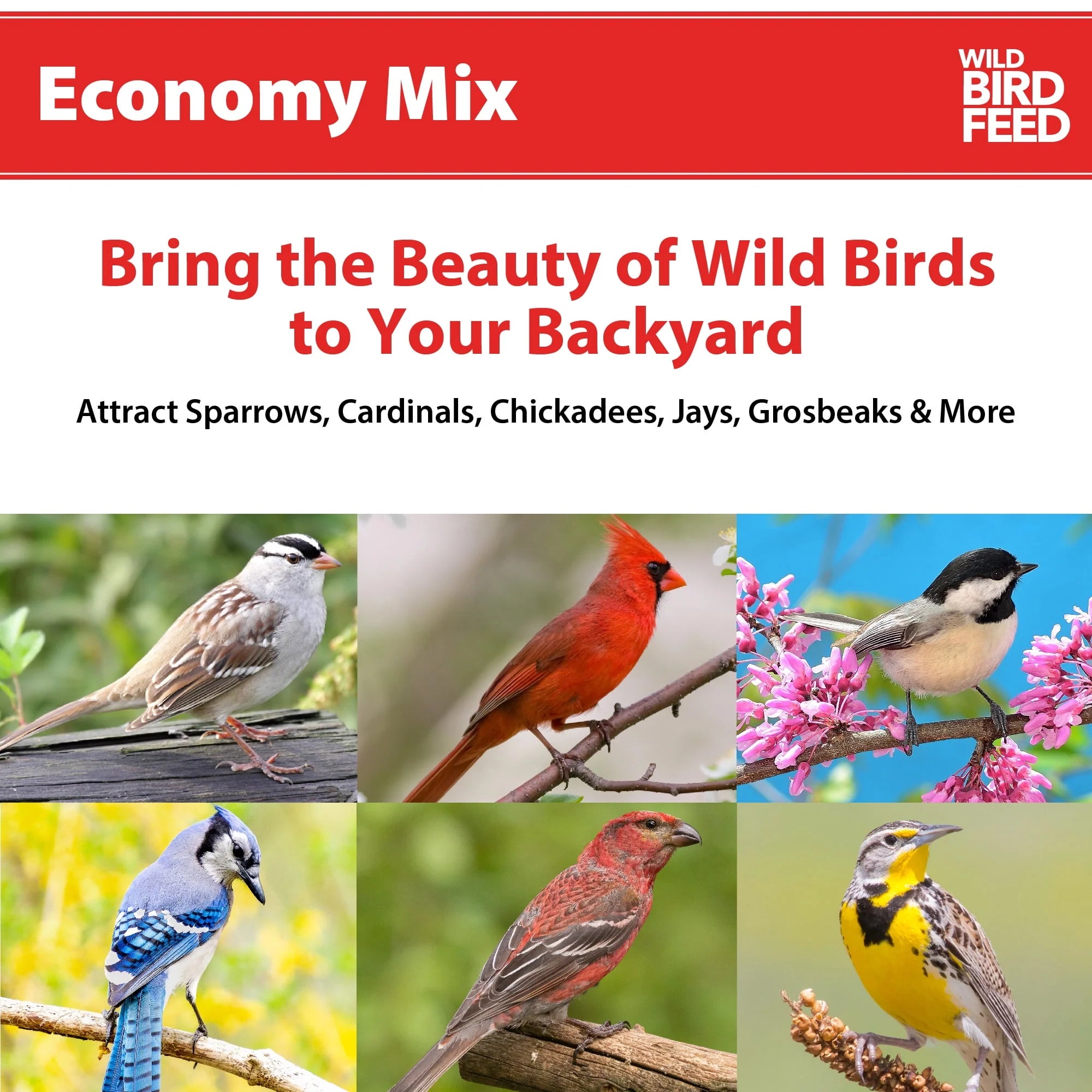20 lb. Wild Bird Feed P3495