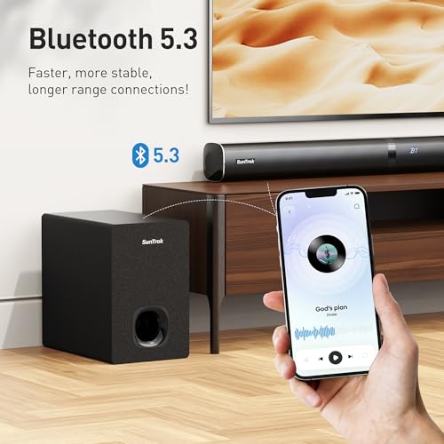 Karaoke Soundbar with Subwoofer, 2 Wireless Microphones, Bluetooth Speaker with Remote W885