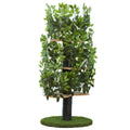 Cat Tree with Leaves Cat House Cat Activity Tree Y36415
