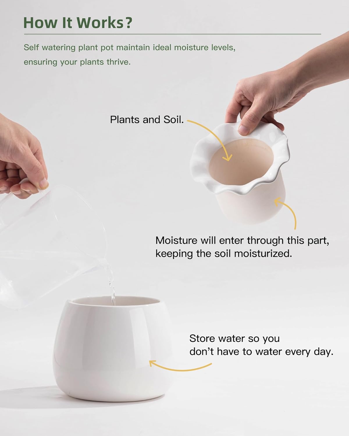 6 Inch Ceramic Self-Watering Plant Pot D29827