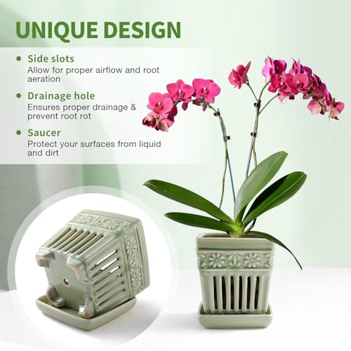 5" Ceramic Orchid Planter with Attached Saucer B92411
