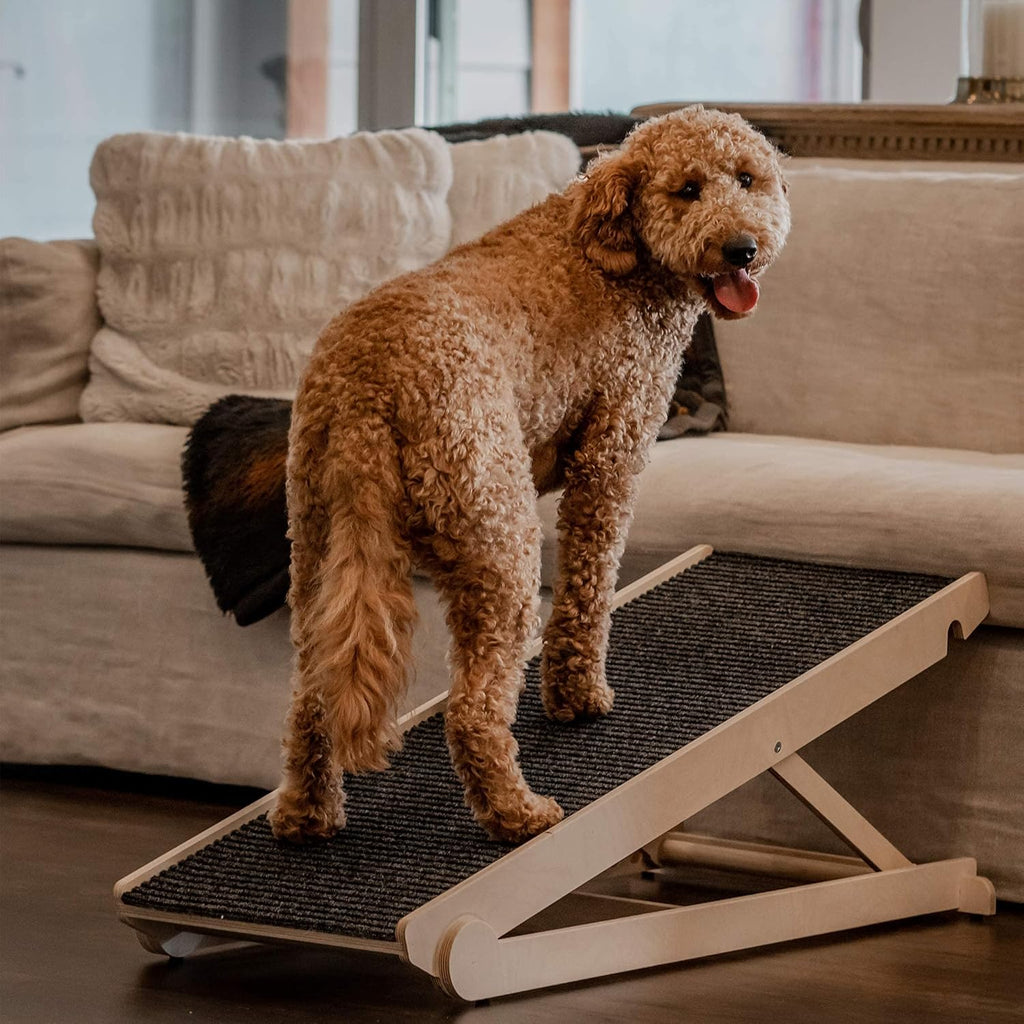 Adjustable Dog Ramp with Paw Traction Mat, 40" Long, 14” to 24”, Rated for 200LBS M9366