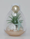 Wallflowers Fragrance Plug Nightlight I61351