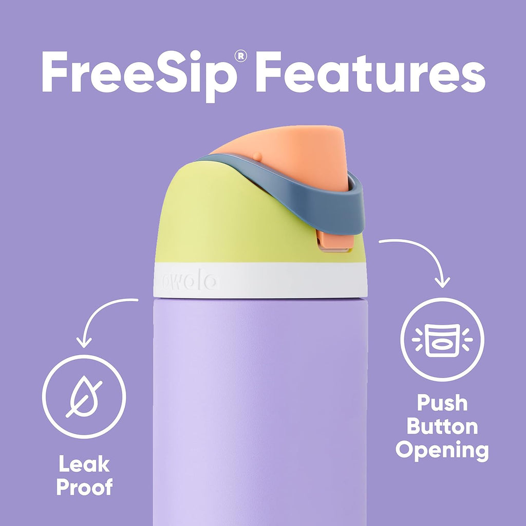 32 Oz Insulated Stainless Steel Water Bottles with Straw, Set of 2 Q331