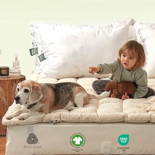 Organic Merino Wool Pillow Top Mattress Topper - 2", Queen O213967