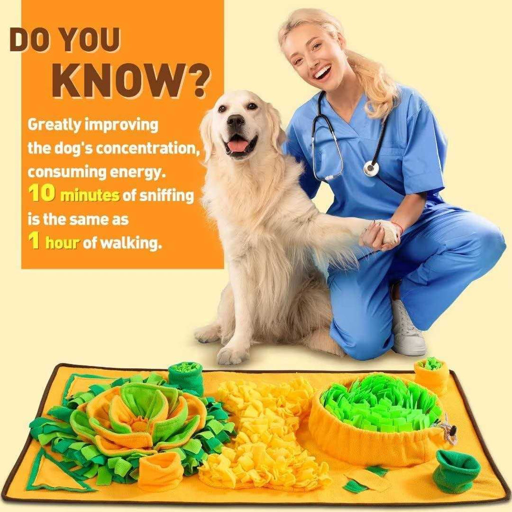 Non-slip Carrot Snuffle Mat for Dog Enrichment D77823