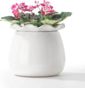 6 Inch Ceramic Self-Watering Plant Pot D29827