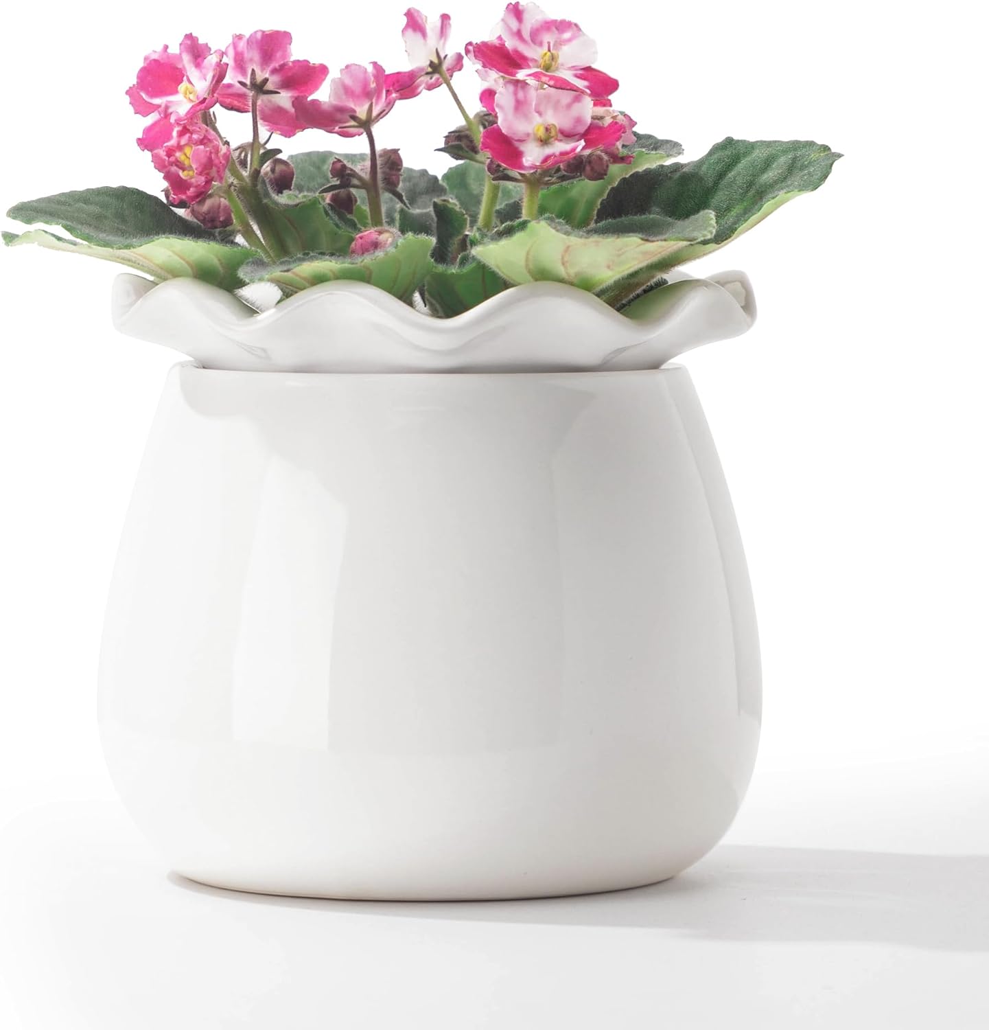 6 Inch Ceramic Self-Watering Plant Pot D29827