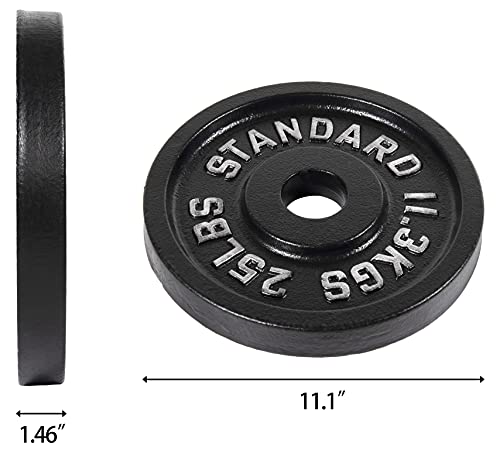 Cast Iron Plate for Weightlifting D7589