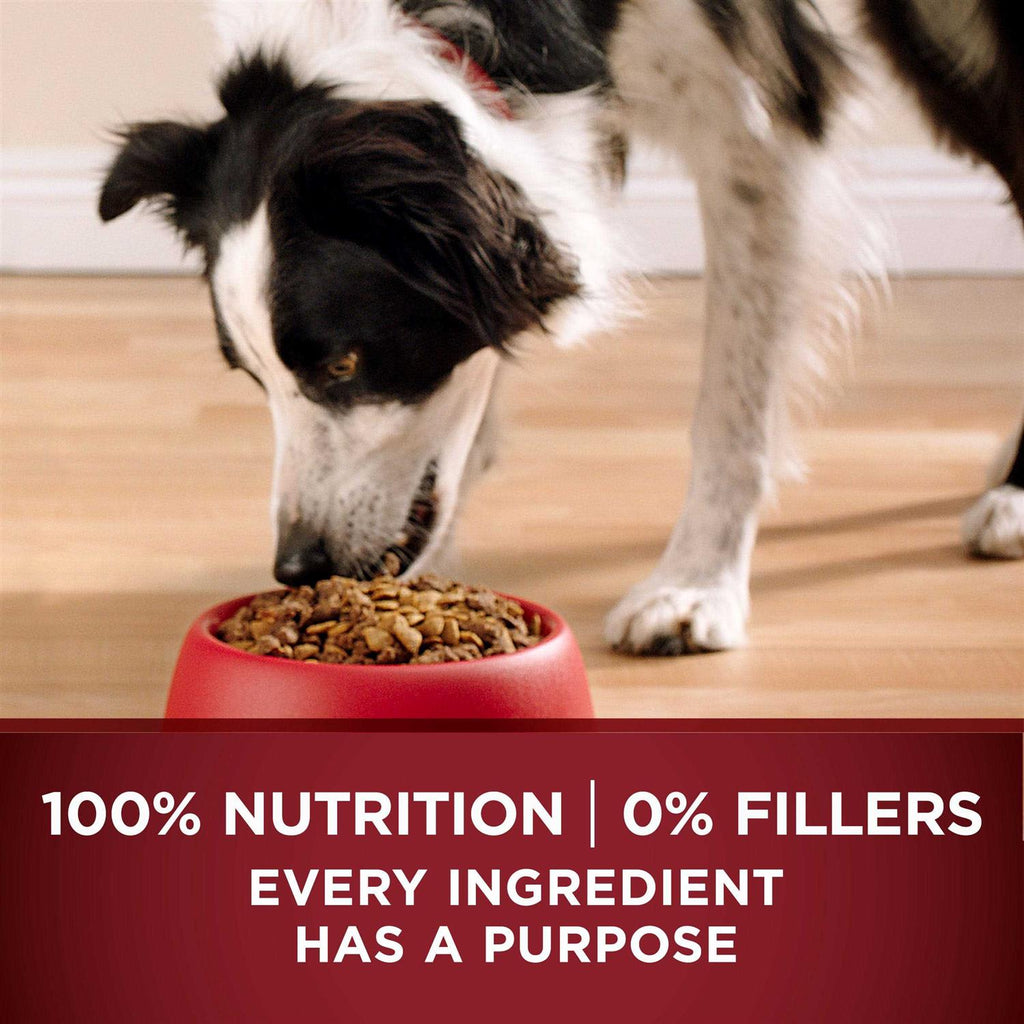 Real Turkey & Venison Dry Dog Food K1236
