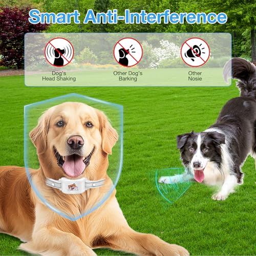 GPS Wireless Dog Fence & Training Collar, Outdoor Waterproof Rechargeable Collar (White) Y5748