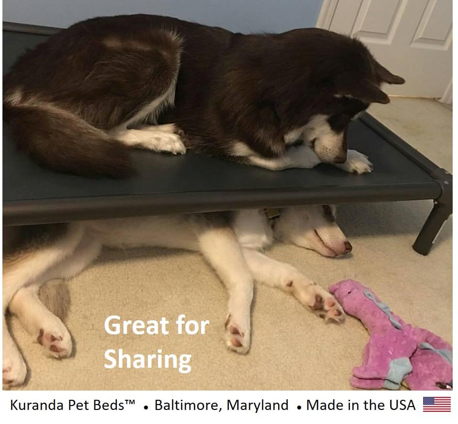 Walnut PVC Heavy Duty Vinyl Dog Bed 50" x 36" L758399