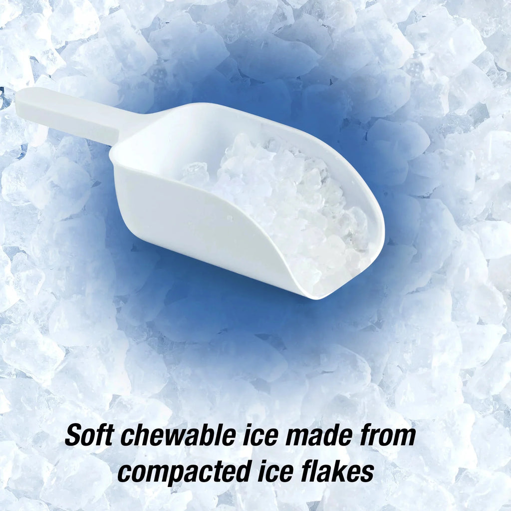 Portable Countertop Ice Maker, Stainless Steel Q167595