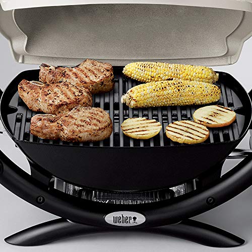 Titanium Liquid Propane Grill F593830