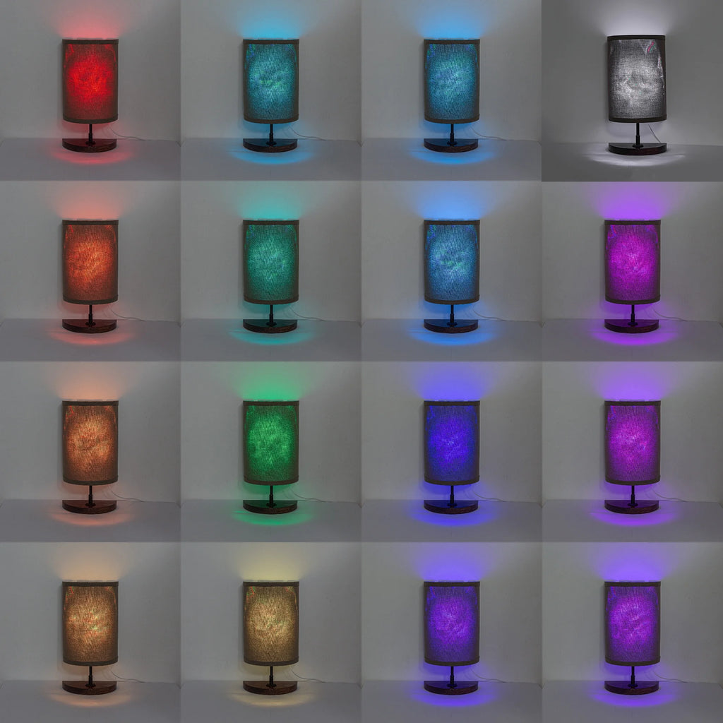 Half Shade Table Lamps with Fabric Lamp Shade R294
