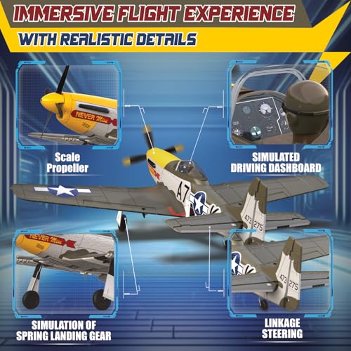 Remote Control Aircraft Plane P485