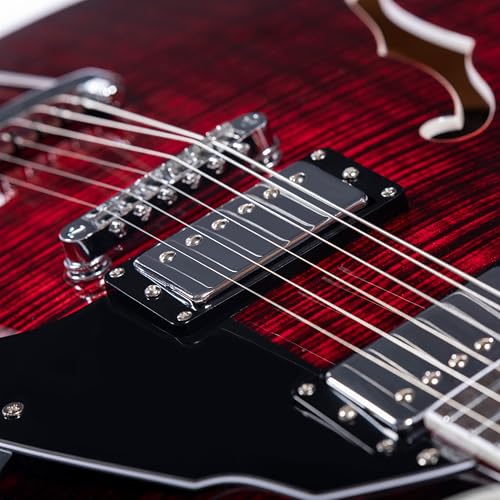 Black Semi-Hollow Body Electric Guitar L35388